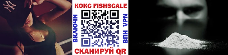 Купить закладку Бошки Шишки  Героин  Гашиш  Меф  Тырныауз